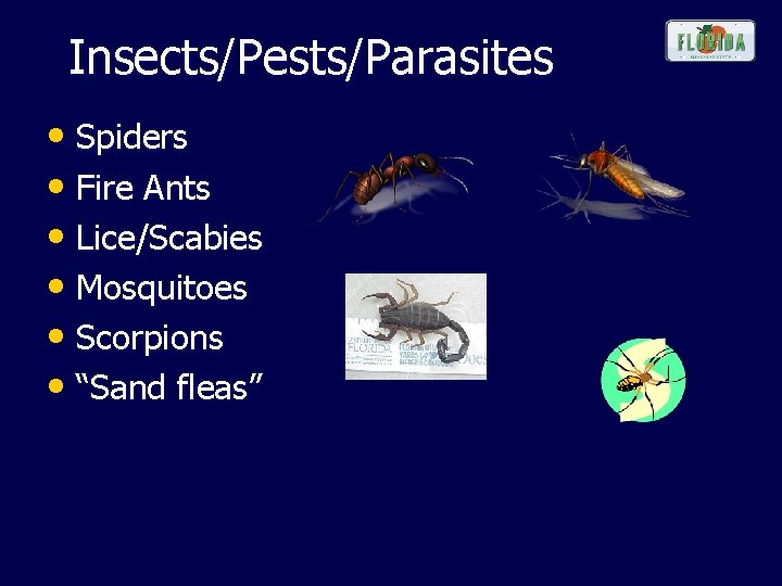  Insects/Pests/Parasites • Spiders • Fire Ants • Lice/Scabies • Mosquitoes • Scorpions •