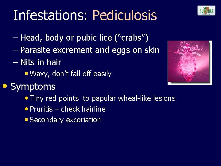 Infestations: Pediculosis – Head, body or pubic lice (“crabs”) – Parasite excrement and eggs