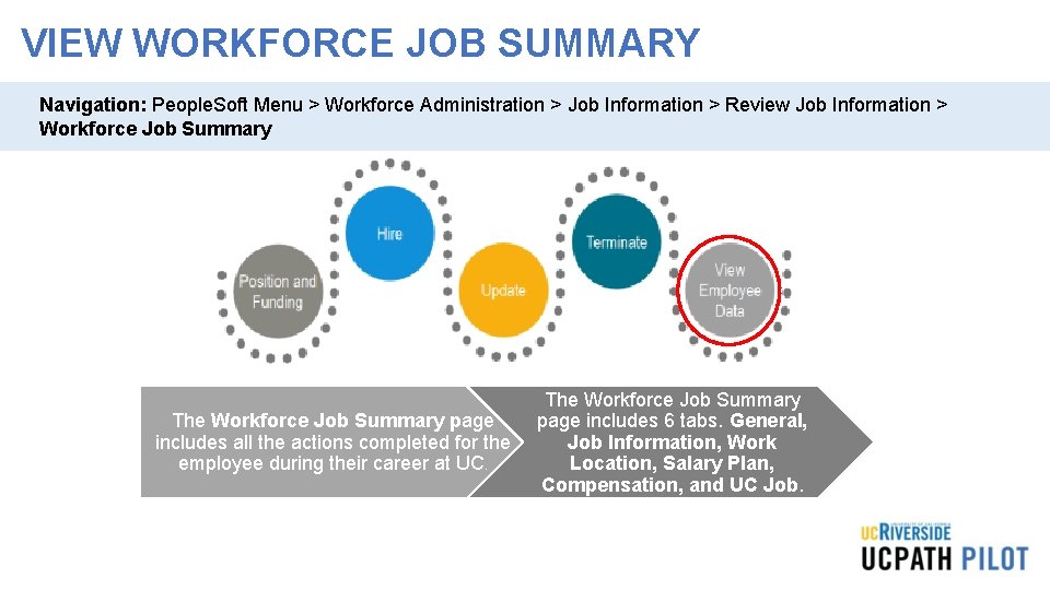VIEW WORKFORCE JOB SUMMARY Navigation: People. Soft Menu > Workforce Administration > Job Information VIEW WORKFORCE JOB SUMMARY Navigation: People. Soft Menu > Workforce Administration > Job Information