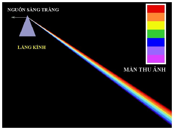 NGUỒN SÁNG TRẮNG LĂNG KÍNH MÀN THU ẢNH 