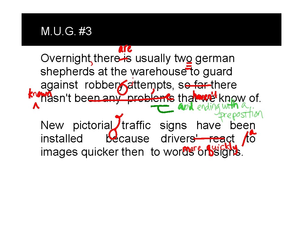 M. U. G. #3 Overnight there is usually two german shepherds at the warehouse