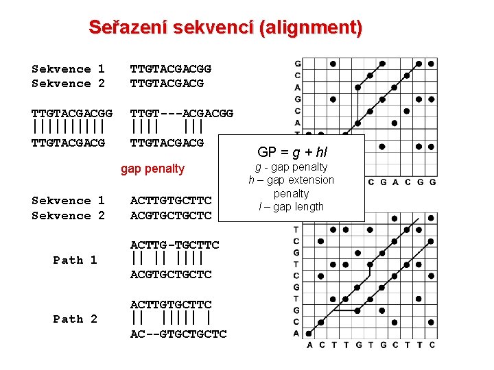 Seřazení sekvencí (alignment) Sekvence 1 Sekvence 2 TTGTACGACGG TTGTACGACG TTGT---ACGACGG TTGTACGACG gap penalty Sekvence