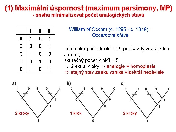 (1) Maximální úspornost (maximum parsimony, MP) - snaha minimalizovat počet analogických stavů I II