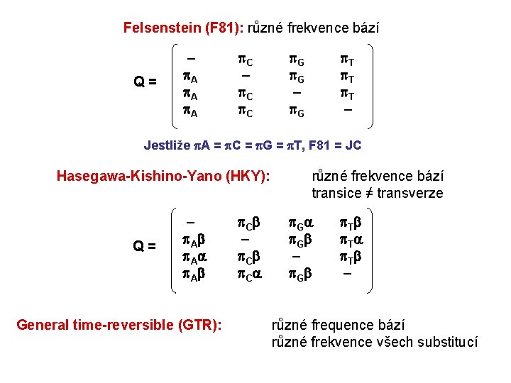 Felsenstein (F 81): různé frekvence bází Q= A A A C C C G