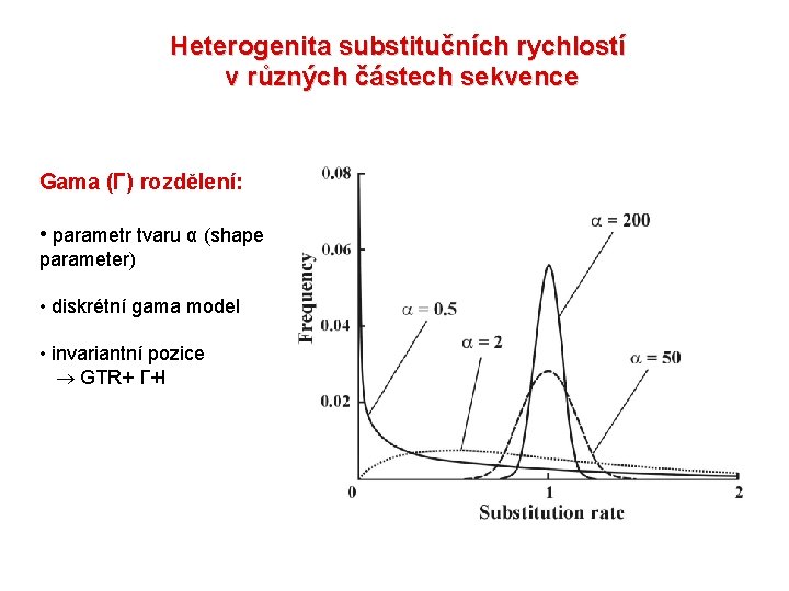 Heterogenita substitučních rychlostí v různých částech sekvence Gama (Γ) rozdělení: • parametr tvaru α