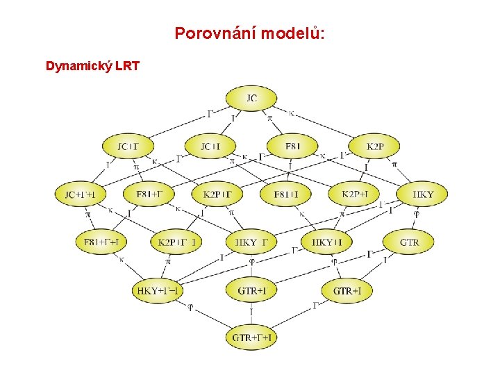 Porovnání modelů: Dynamický LRT 