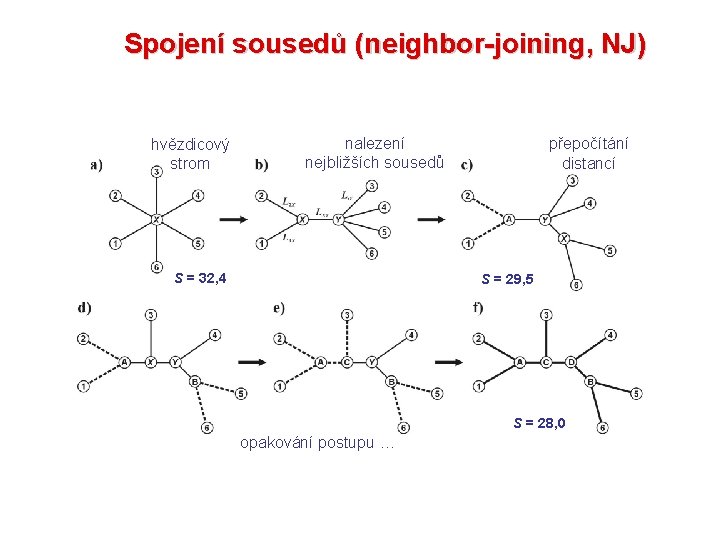 Spojení sousedů (neighbor-joining, NJ) hvězdicový strom nalezení nejbližších sousedů S = 32, 4 přepočítání