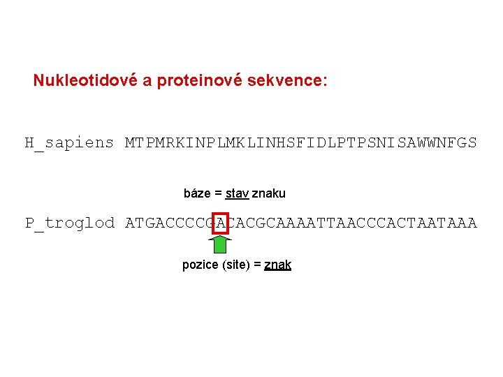 Nukleotidové a proteinové sekvence: H_sapiens MTPMRKINPLMKLINHSFIDLPTPSNISAWWNFGS báze = stav znaku P_troglod ATGACCCCGACACGCAAAATTAACCCACTAATAAA pozice (site)