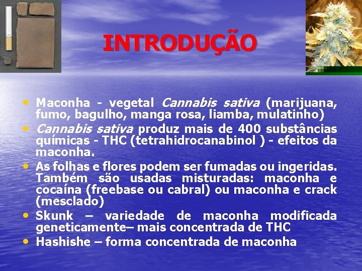 INTRODUÇÃO • Maconha - vegetal Cannabis sativa (marijuana, • • fumo, bagulho, manga rosa,