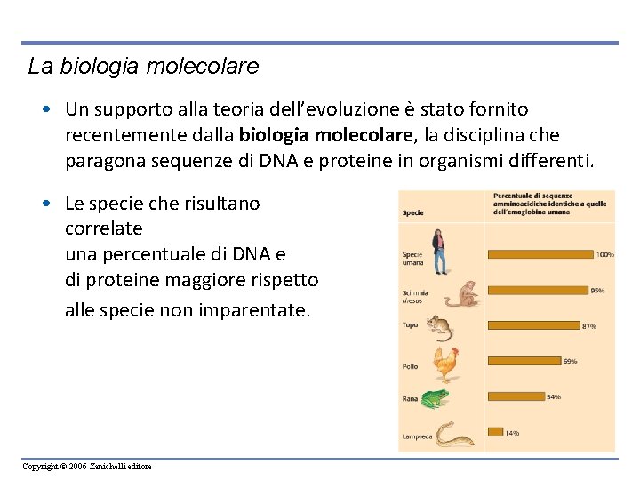 La biologia molecolare • Un supporto alla teoria dell’evoluzione è stato fornito recentemente dalla