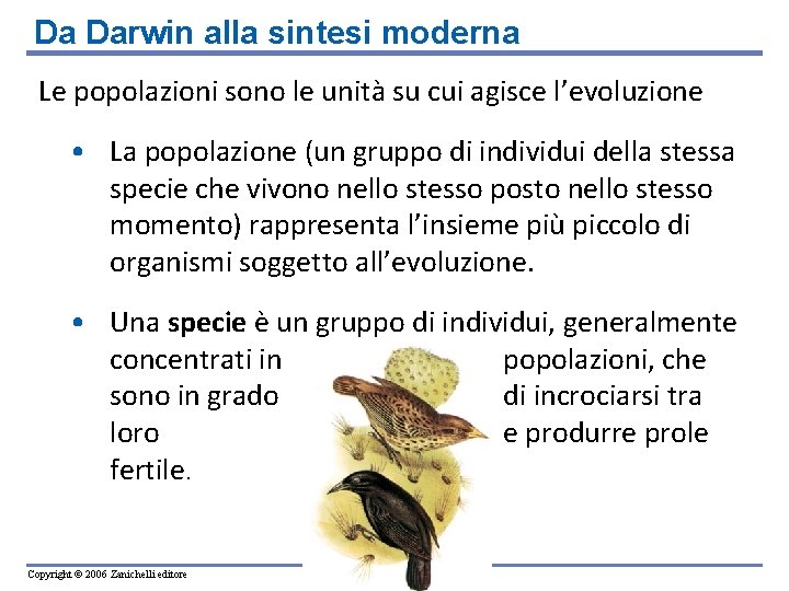 Da Darwin alla sintesi moderna Le popolazioni sono le unità su cui agisce l’evoluzione