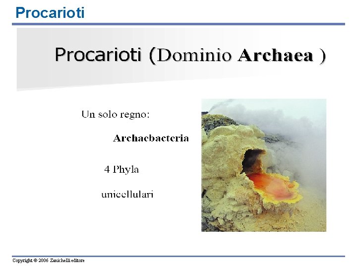 Procarioti Copyright © 2006 Zanichelli editore 