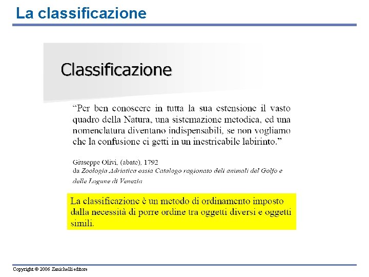 La classificazione Copyright © 2006 Zanichelli editore 