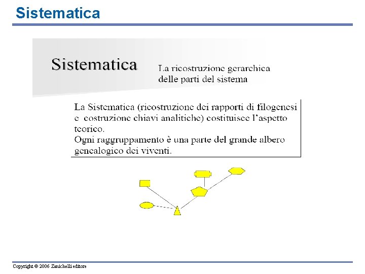 Sistematica Copyright © 2006 Zanichelli editore 