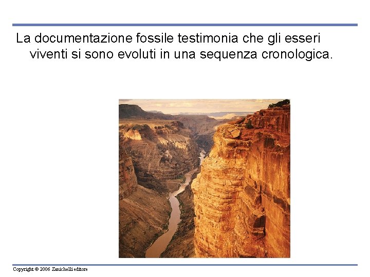 La documentazione fossile testimonia che gli esseri viventi si sono evoluti in una sequenza