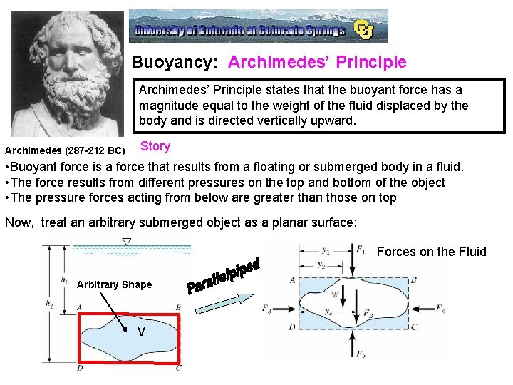 Buoyancy: Archimedes’ Principle states that the buoyant force has a magnitude equal to the