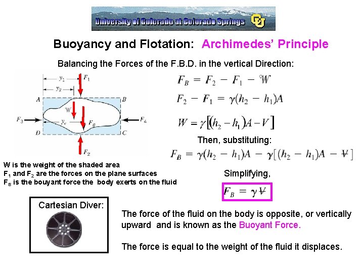 Buoyancy and Flotation: Archimedes’ Principle Balancing the Forces of the F. B. D. in