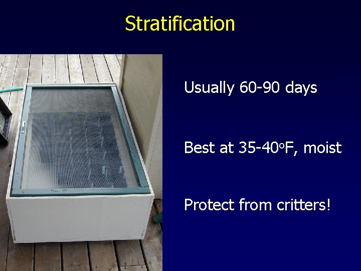 Stratification Usually 60 -90 days Best at 35 -40 o. F, moist Protect from