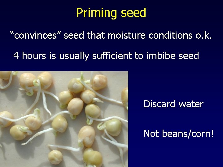 Priming seed “convinces” seed that moisture conditions o. k. 4 hours is usually sufficient