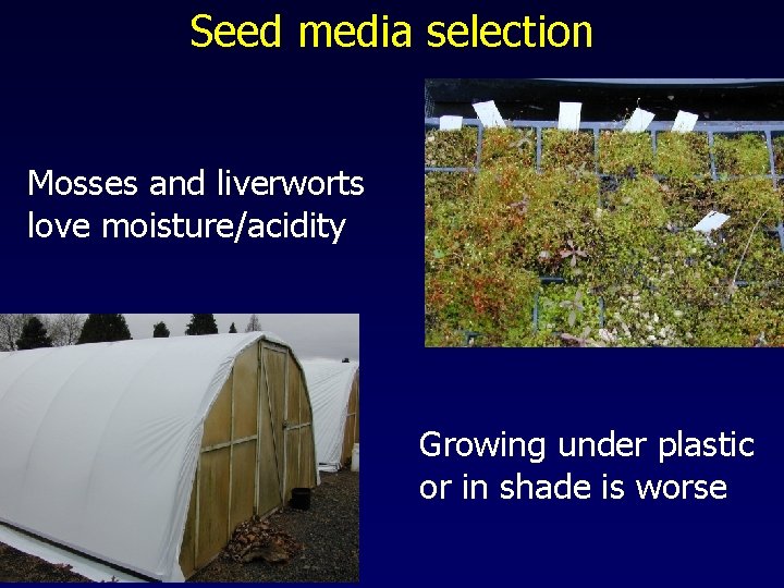 Seed media selection Mosses and liverworts love moisture/acidity Growing under plastic or in shade