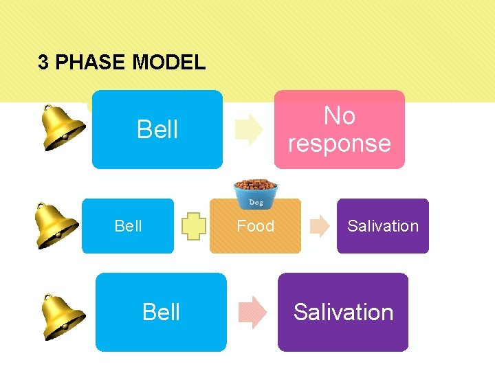 3 PHASE MODEL No response Bell Food Salivation 