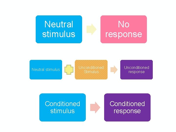 Neutral stimulus No response Unconditioned Stimulus Conditioned stimulus Unconditioned response Conditioned response 