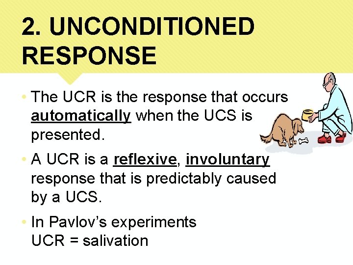 2. UNCONDITIONED RESPONSE • The UCR is the response that occurs automatically when the