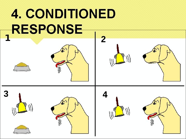 4. CONDITIONED RESPONSE 