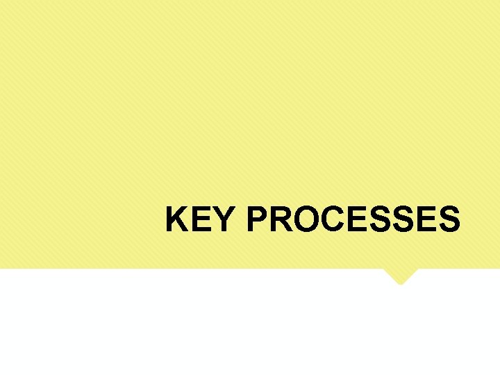 KEY PROCESSES 