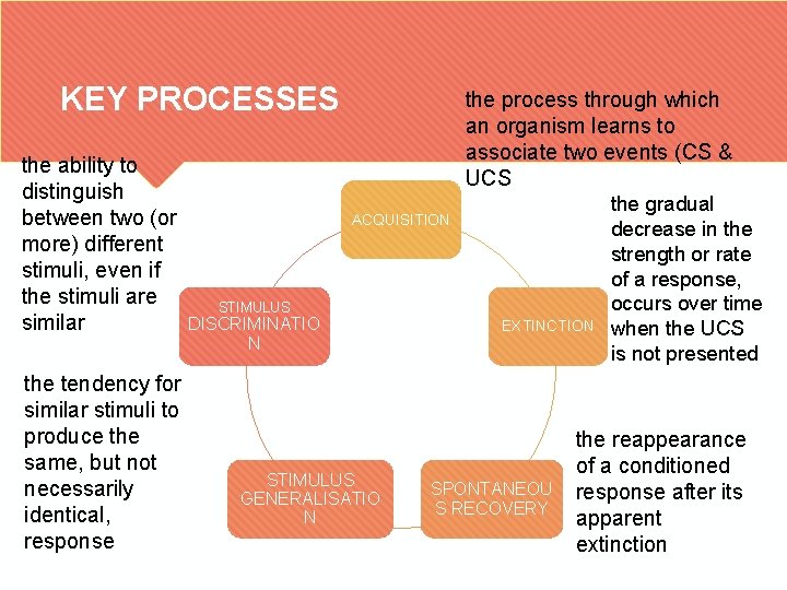 KEY PROCESSES the ability to distinguish between two (or more) different stimuli, even if