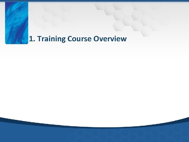 1. Training Course Overview 