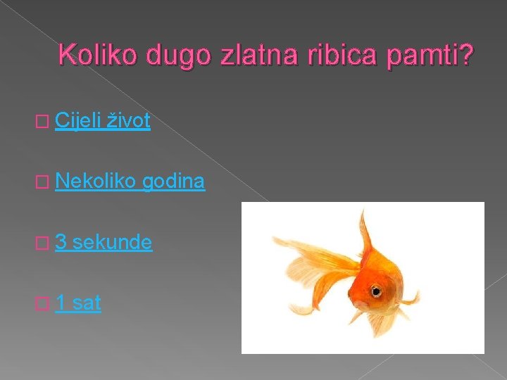 Koliko dugo zlatna ribica pamti? � Cijeli život � Nekoliko godina � 3 sekunde