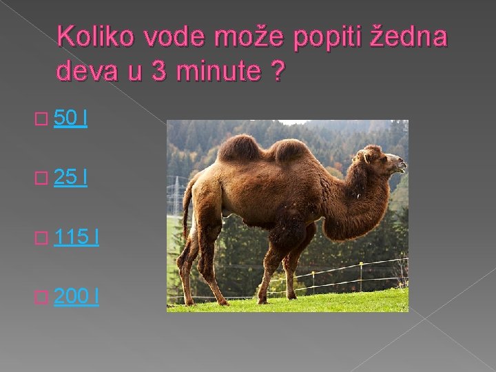 Koliko vode može popiti žedna deva u 3 minute ? � 50 l �