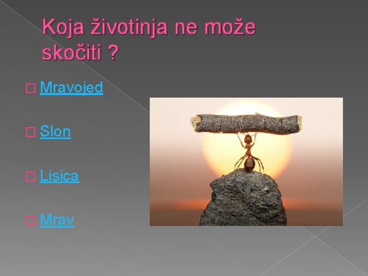 Koja životinja ne može skočiti ? � Mravojed � Slon � Lisica � Mrav