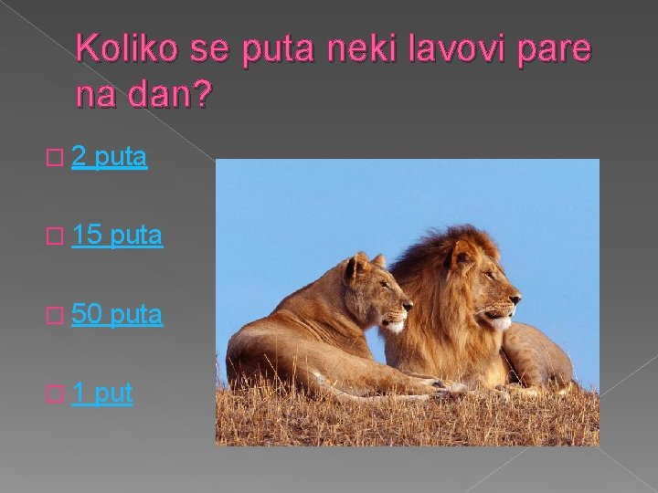 Koliko se puta neki lavovi pare na dan? � 2 puta � 15 puta