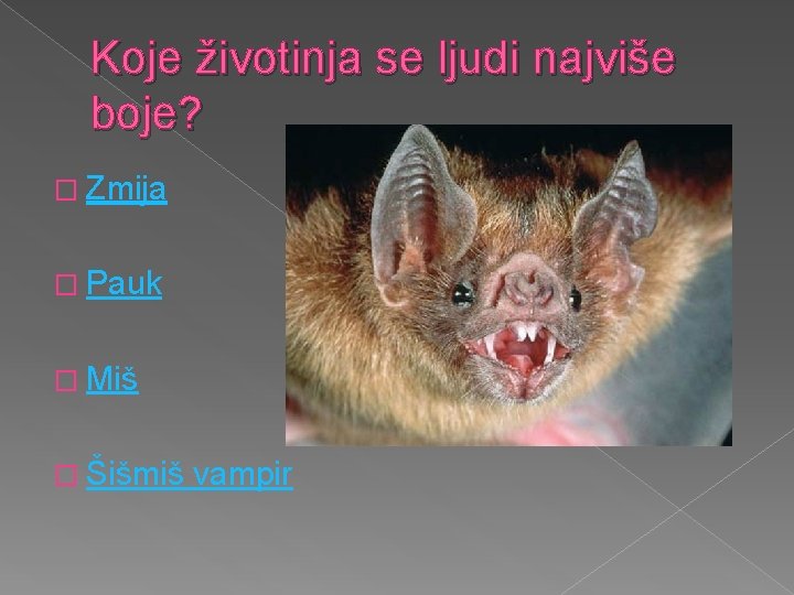 Koje životinja se ljudi najviše boje? � Zmija � Pauk � Miš � Šišmiš