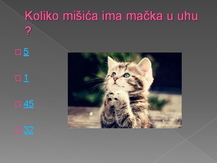 Koliko mišića ima mačka u uhu ? � 5 � 1 � 45 �