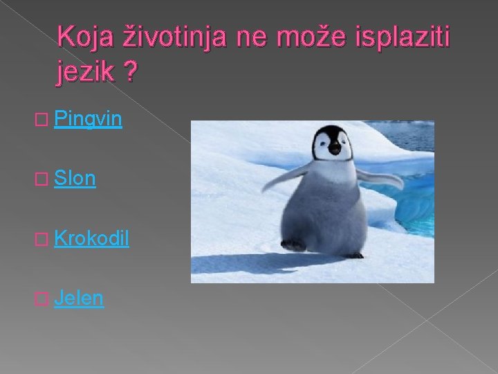 Koja životinja ne može isplaziti jezik ? � Pingvin � Slon � Krokodil �