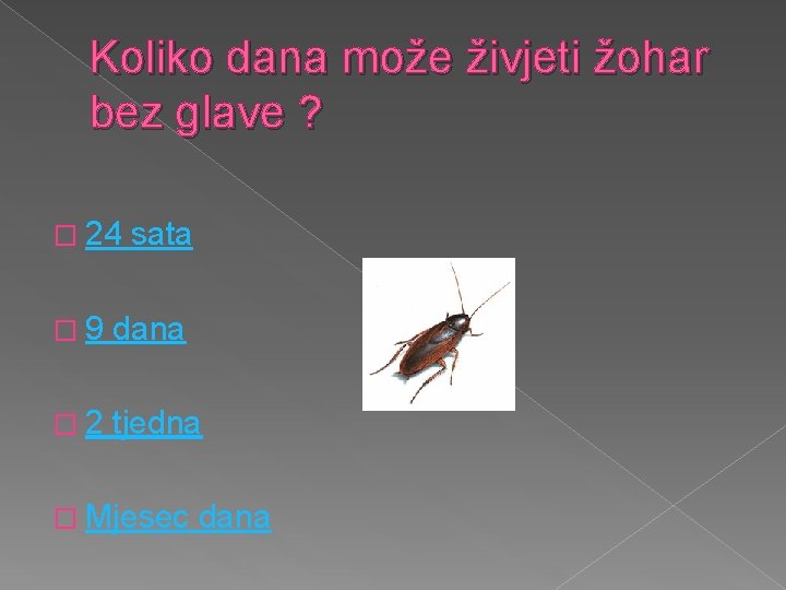 Koliko dana može živjeti žohar bez glave ? � 24 sata � 9 dana