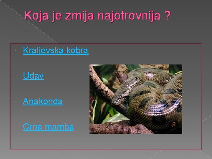 Koja je zmija najotrovnija ? Kraljevska kobra Udav Anakonda Crna mamba 