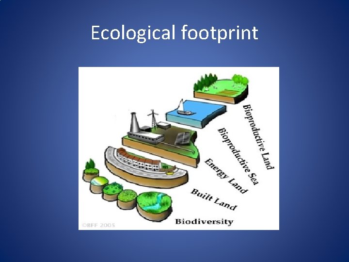 Ecological footprint 