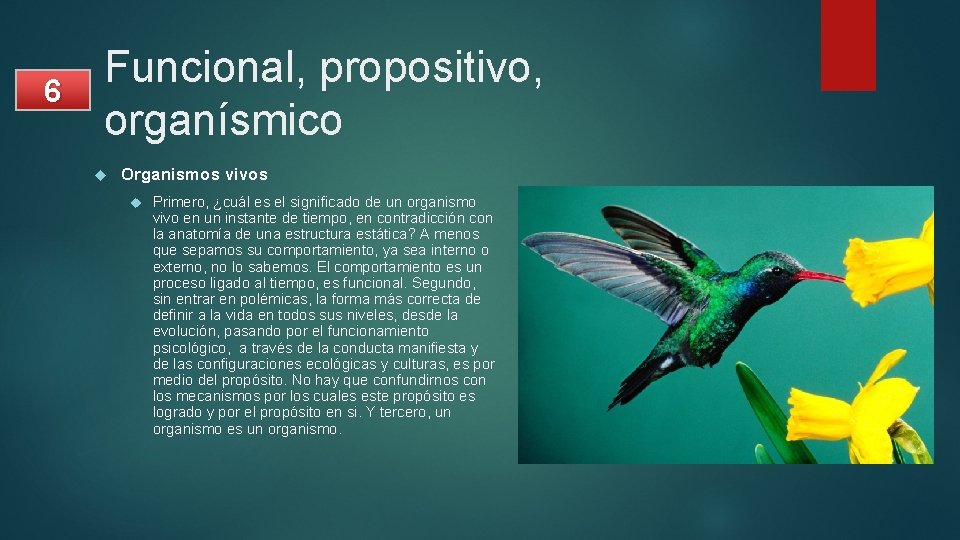 6 Funcional, propositivo, organísmico Organismos vivos Primero, ¿cuál es el significado de un organismo