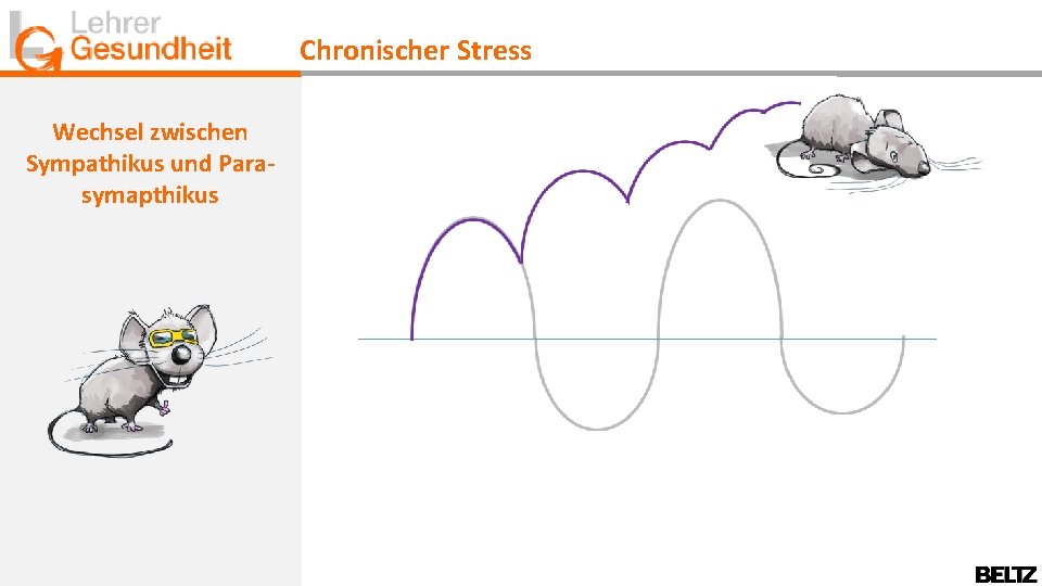 Chronischer Stress Wechsel zwischen Sympathikus und Parasymapthikus 