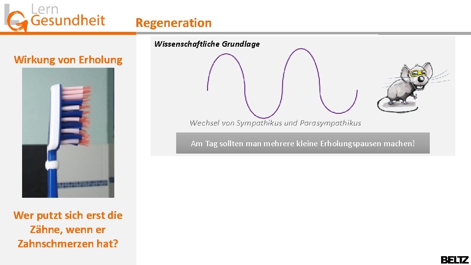 Regeneration Wissenschaftliche Grundlage Wirkung von Erholung Wechsel von Sympathikus und Parasympathikus Am Tag sollten