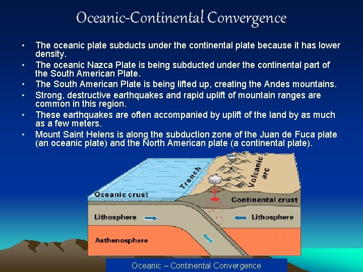 Oceanic-Continental Convergence • • • The oceanic plate subducts under the continental plate because