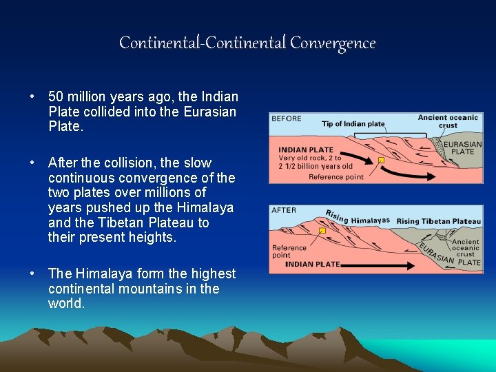 Continental-Continental Convergence • 50 million years ago, the Indian Plate collided into the Eurasian