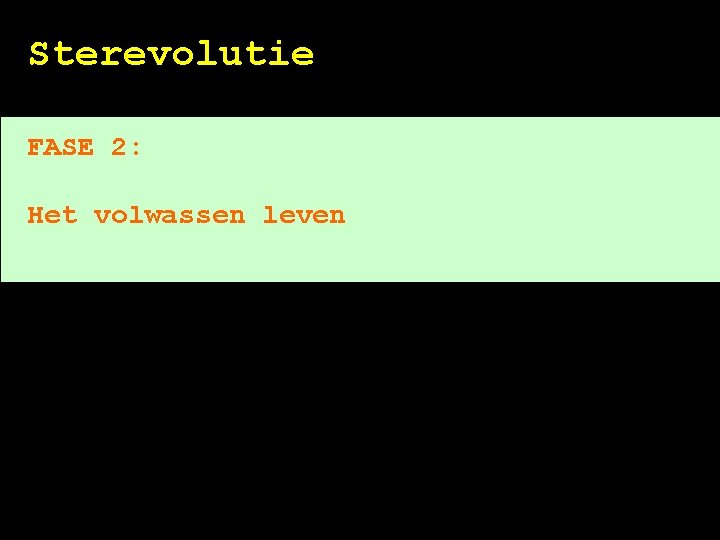 Sterevolutie FASE 2: Het volwassen leven 