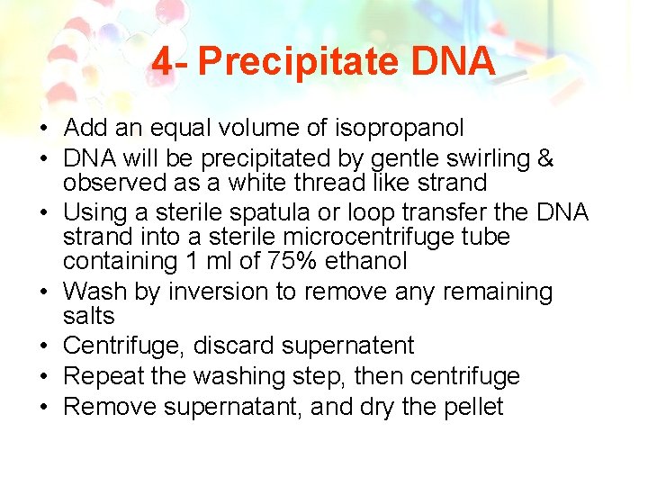 4 - Precipitate DNA • Add an equal volume of isopropanol • DNA will