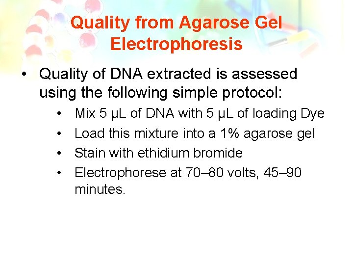 Quality from Agarose Gel Electrophoresis • Quality of DNA extracted is assessed using the