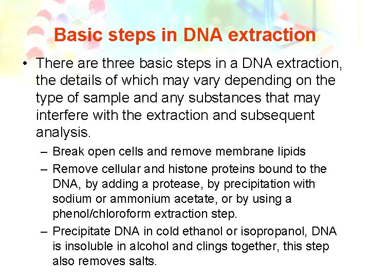 Basic steps in DNA extraction • There are three basic steps in a DNA